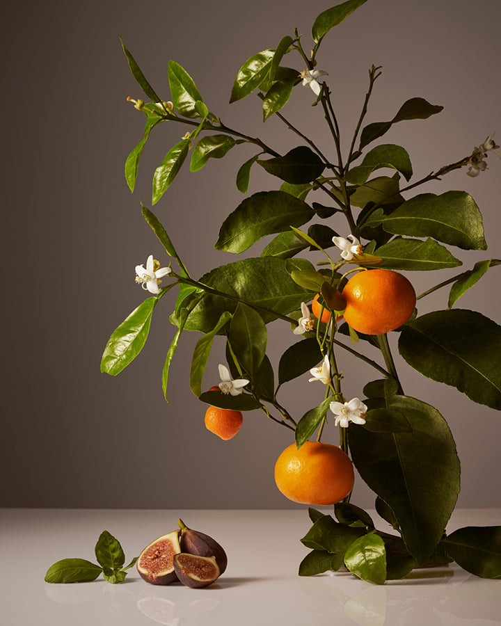 Homecourt Hand Wash Hand Wash Dark Slate Gray Cece,Mandarin Basile,Steeped Rose,Cipres Mint,Neroli Leaf,Balsam Fireplace,Exfoliating Cece