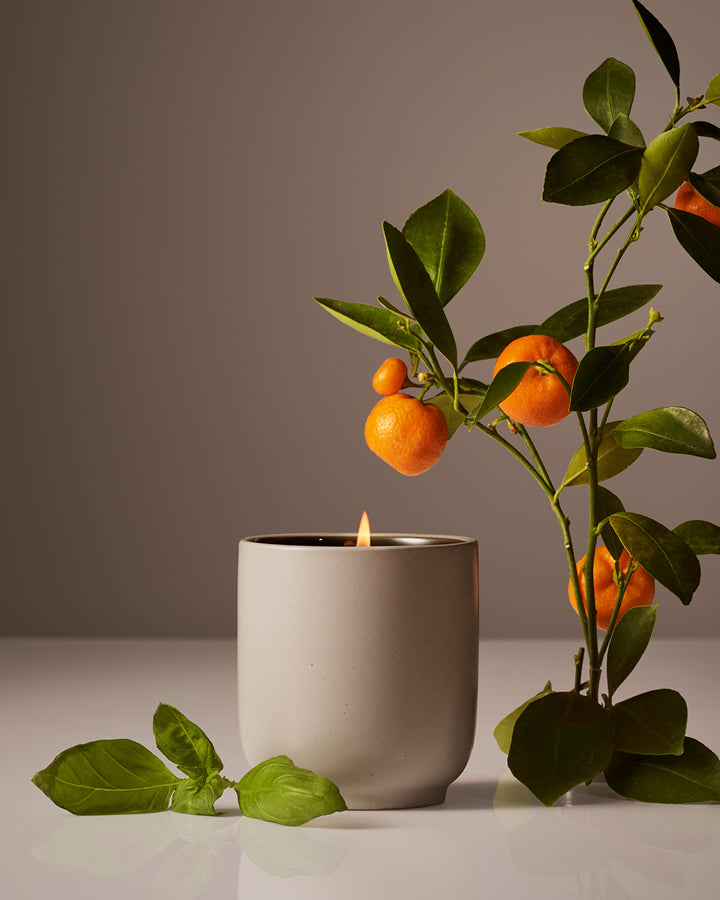 Homecourt Candle Candle Dim Gray Mandarin Basile