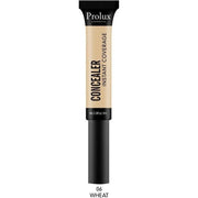 Prolux Cosmetics Instant Coverage Concealer concealer