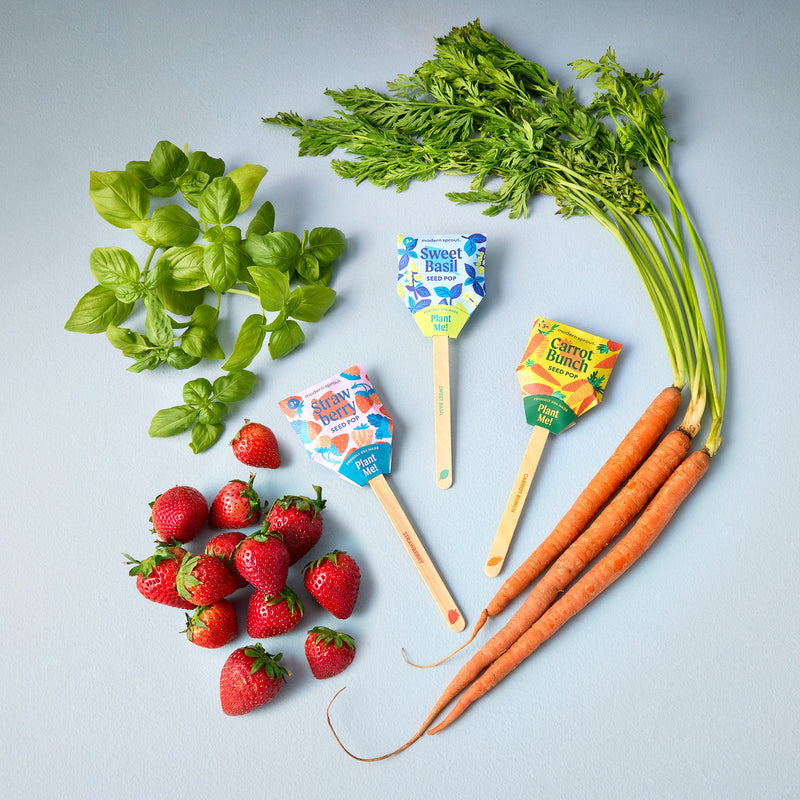 Modern Sprout Seed Pops - Garden Playful Planting