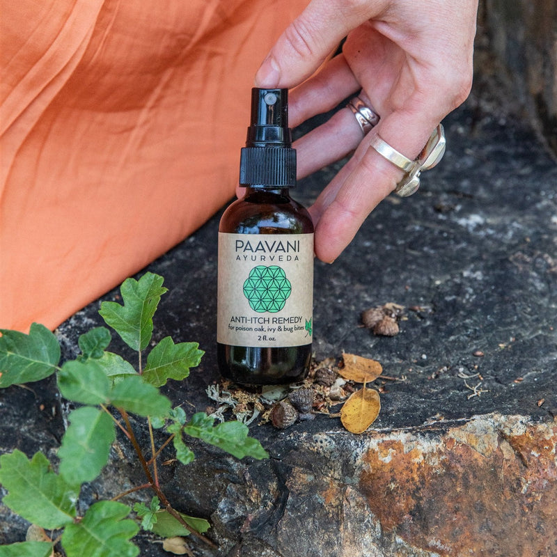 Paavani Ayurveda Anti-Itch Remedy | Natural Relief for Poison Oak, Ivy & Bug Bites simple