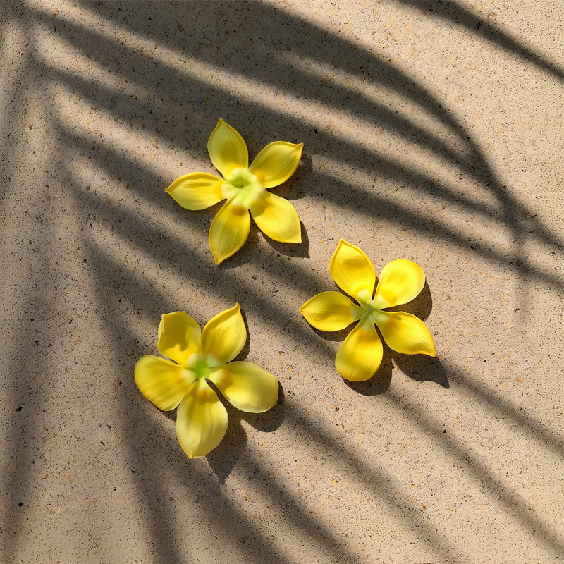 Ua Body | Hawaiian Skincare Pakalana Bath Salt Bath Salts