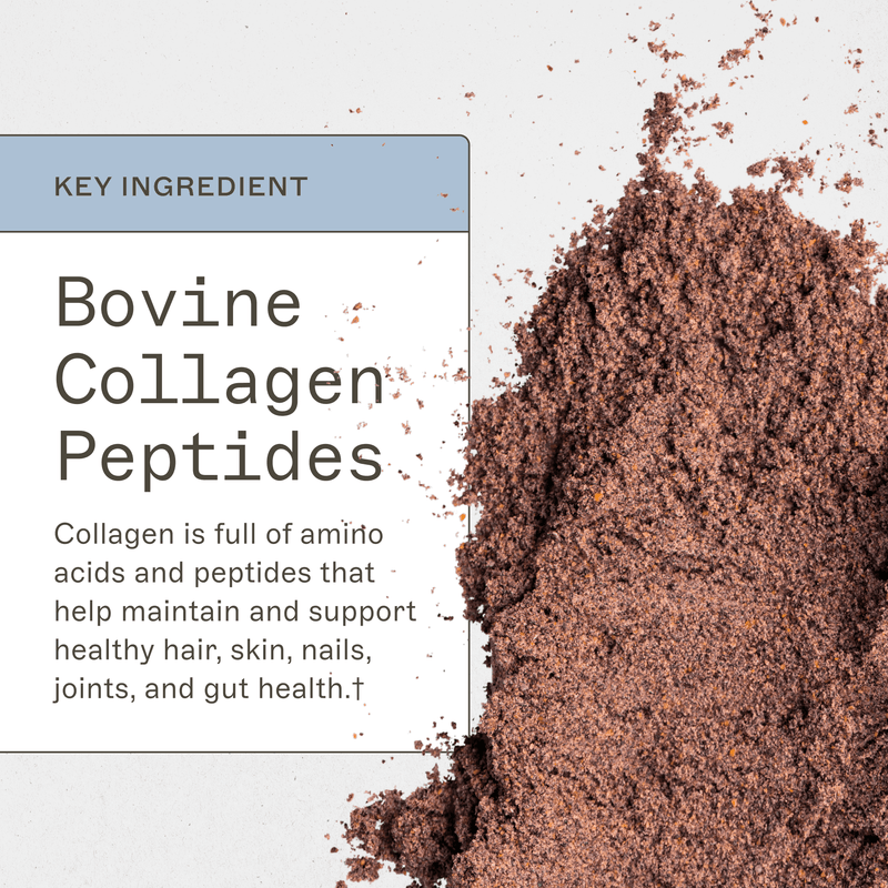 Paleo Protein - Peppermint Mocha