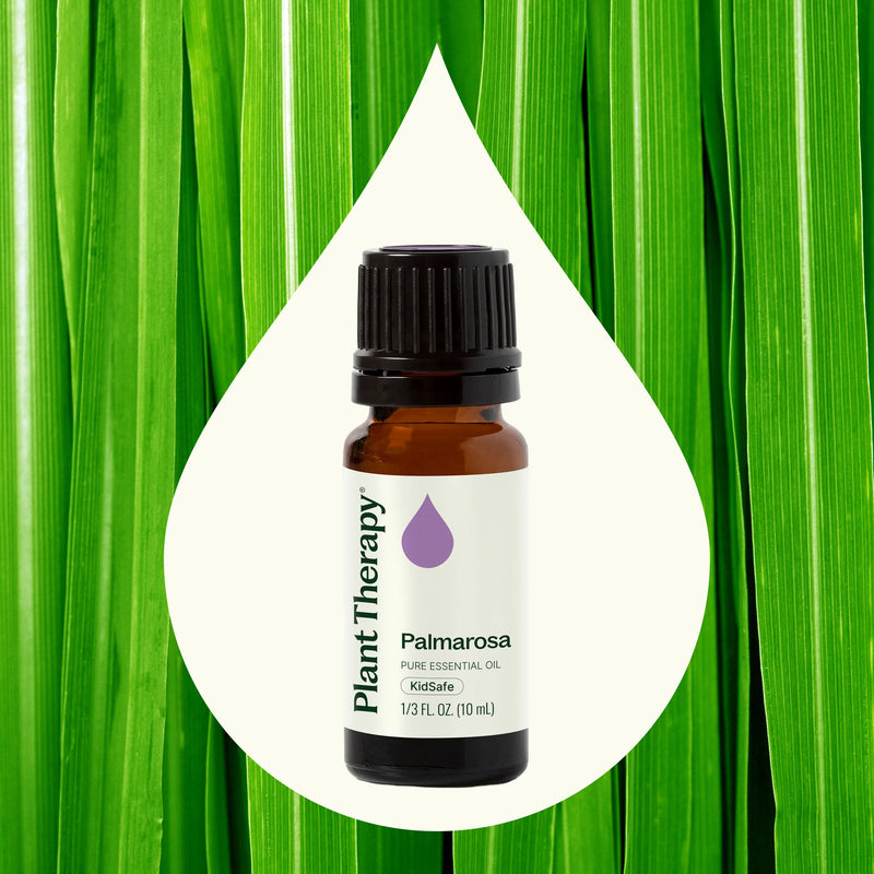 Plant Therapy Palmarosa Essential Oil Essential Oil