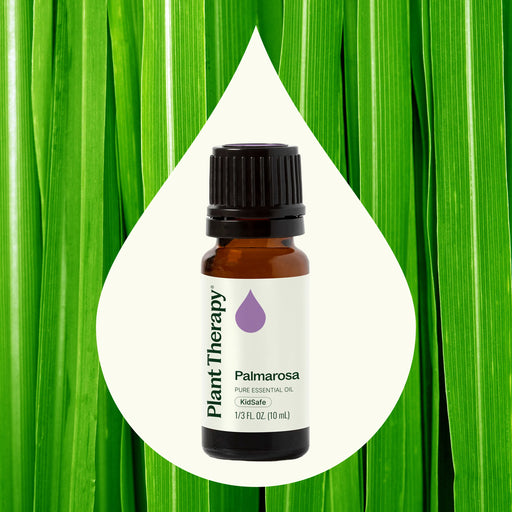 Plant Therapy Palmarosa Essential Oil Essential Oil