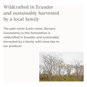 Annmarie Skin Care Palo Santo Hair & Body Mist (4oz)- Collective HIDDEN