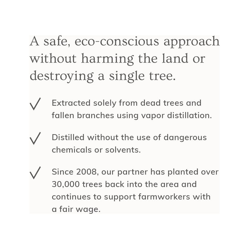 Annmarie Skin Care Palo Santo Hair & Body Mist (4oz)- Collective HIDDEN