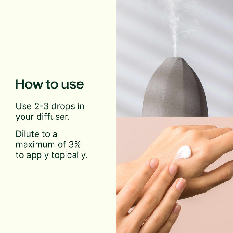 Plant Therapy Palo Santo Essential Oil Essential Oil