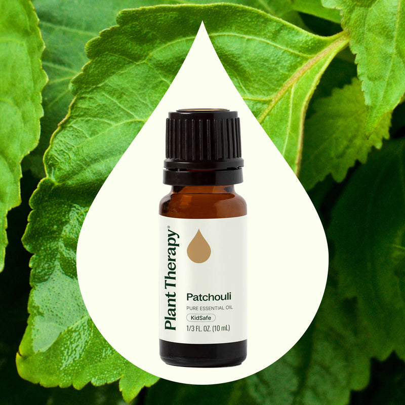 Plant Therapy Patchouli Essential Oil Essential Oil