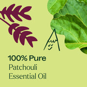 Plant Therapy Patchouli Essential Oil Essential Oil
