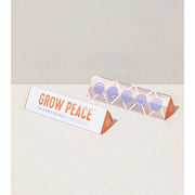 Modern Sprout Bright Side Seed Balls Playful Planting