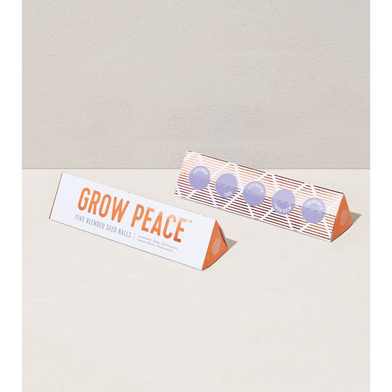 Modern Sprout Bright Side Seed Balls Playful Planting