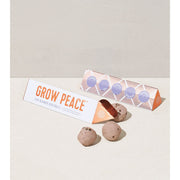 Modern Sprout Bright Side Seed Balls Playful Planting