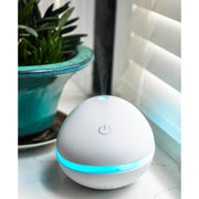 ZAQ Skin & Body Pebble Diffusers