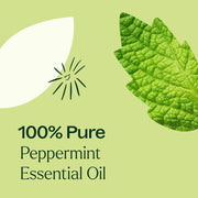 Plant Therapy Peppermint Essential Oil Essential Oil