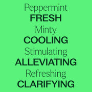 Plant Therapy Peppermint Essential Oil Essential Oil