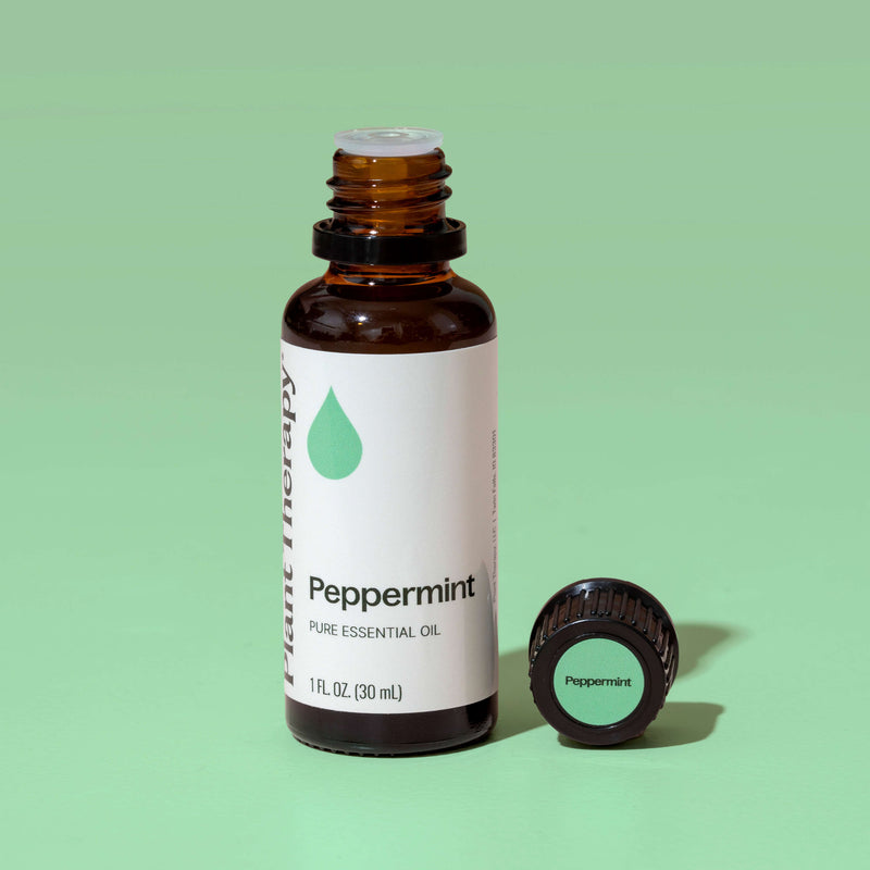 Plant Therapy Peppermint Essential Oil Essential Oil