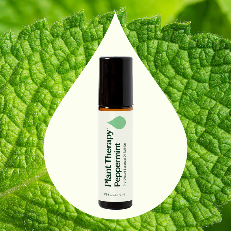 Plant Therapy Peppermint Essential Oil Pre-Diluted Roll-On Essential Oil