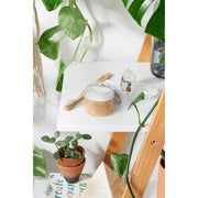 Butter Me Up Organics All Natural Organic Whitening Toothpaste / Remineralizing Toothpaste Teeth