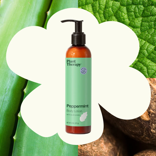 Plant Therapy Peppermint Body Lotion with Aloe and Shea Body Care