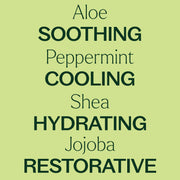 Plant Therapy Peppermint Body Lotion with Aloe and Shea Body Care
