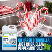 EcoStrong Drain and Fruit Fly Eliminator Drain & Septic > Drain & Fruit Flies