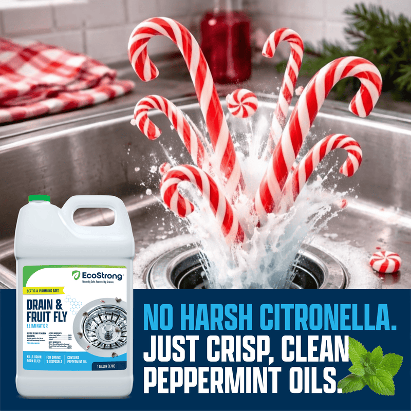 EcoStrong Drain and Fruit Fly Eliminator Drain & Septic > Drain & Fruit Flies
