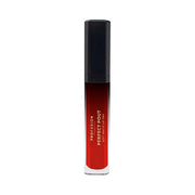 Profusion Cosmetics PERFECT POUT | Soft Matte Lip Tint Lips