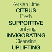 Plant Therapy Persian Lime Essential Oil Essential Oil