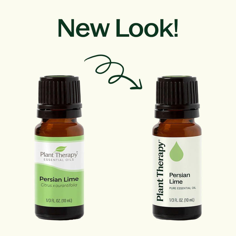 Plant Therapy Persian Lime Essential Oil Essential Oil
