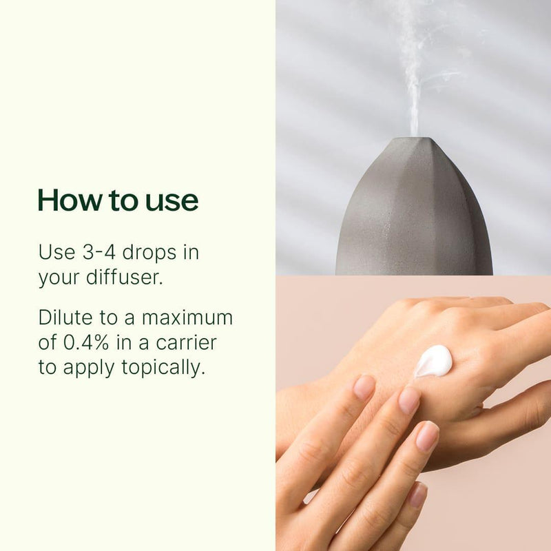 Plant Therapy Peru Balsam Essential Oil Essential Oil