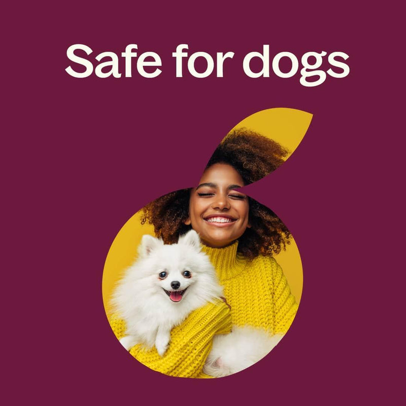 Plant Therapy Peru Balsam Essential Oil Essential Oil