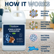 EcoStrong Pet Stain and Odor Eliminator Pet & Animal > Pet Stain & Odor