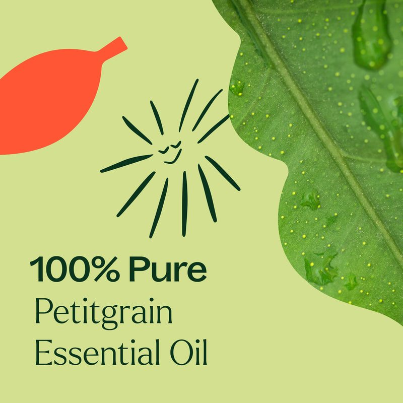 Plant Therapy Petitgrain Essential Oil Essential Oil