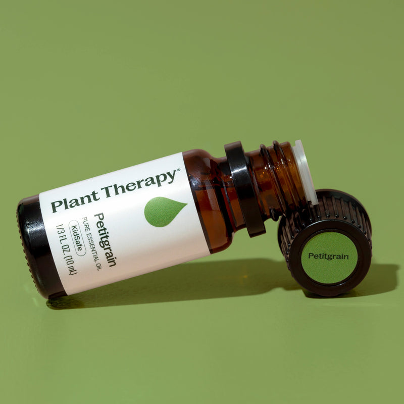 Plant Therapy Petitgrain Essential Oil Essential Oil