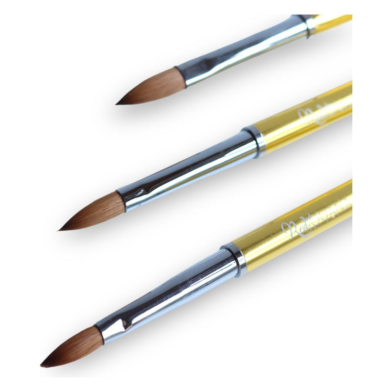 Red Iguana LLC Acrylic Brush Bundle kit