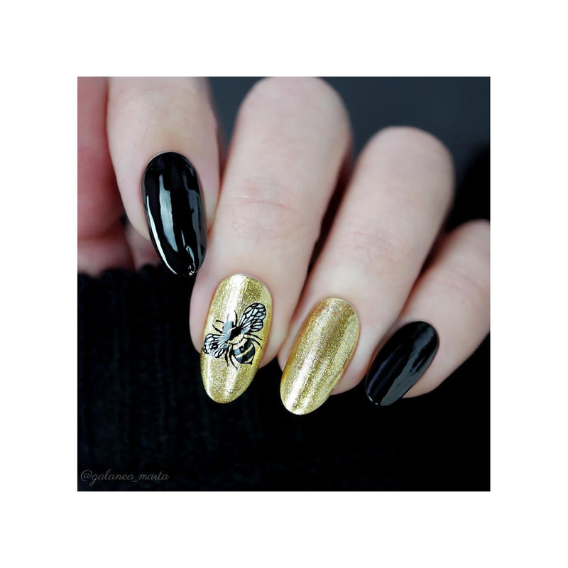 UberChic Beauty Picnic Perfect Stamping Plate