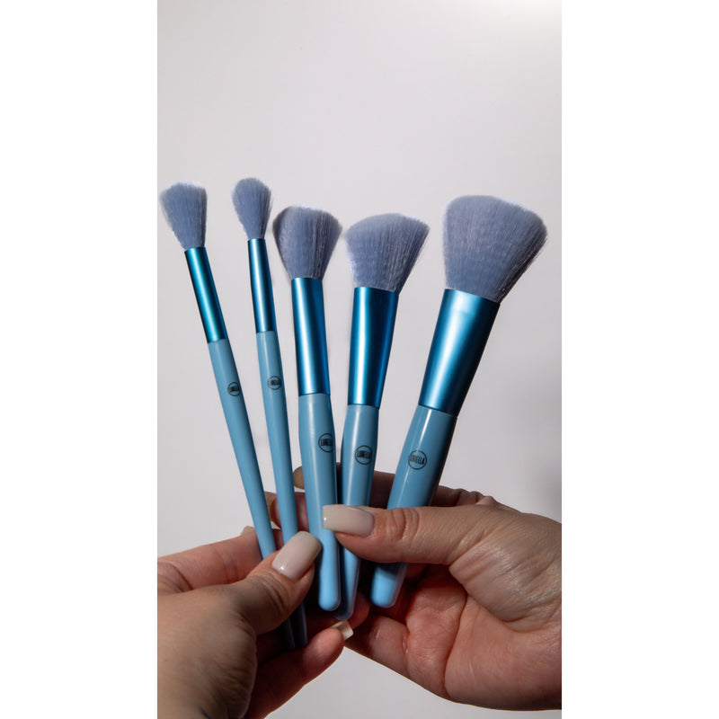 Lurella Cosmetics Precise Perfection Brush Set Brush Set