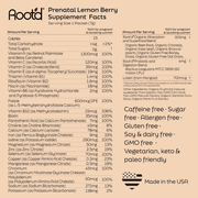 Root'd Essential Prenatal Nutrition + Electrolytes Prenatal