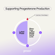 Proov Pro Implantation Supplement Support