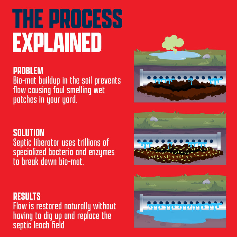 EcoStrong Septic Liberator Drain & Septic > Septic System Emergencies