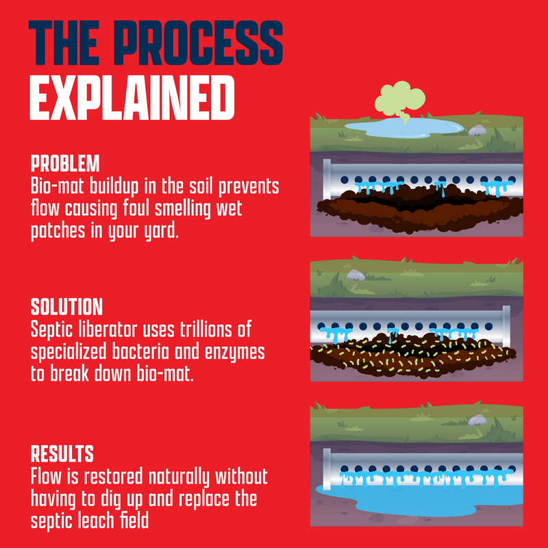 EcoStrong Septic Liberator Drain & Septic > Septic System Emergencies