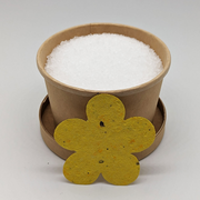 Hyssop Beauty Apothecary L.L.C. 5K Foot Soak in Compostable Container Skin Care