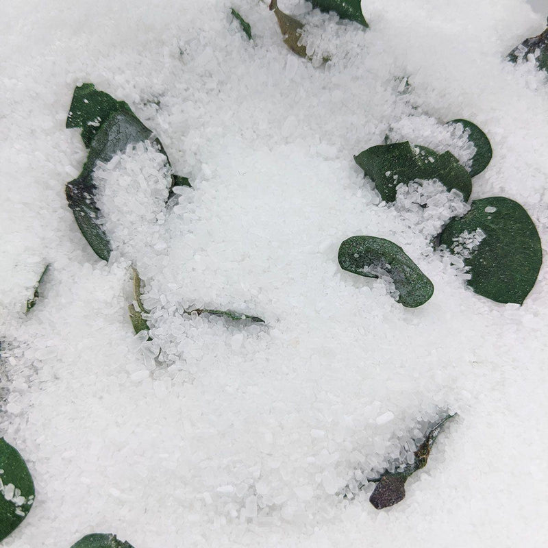 Hyssop Beauty Apothecary L.L.C. Feeling Groovy Bath Soak/Body Scrub Bath Soak