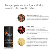 Annmarie Skin Care Antioxidant Lip Balm- Collective HIDDEN