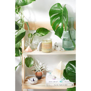 Butter Me Up Organics Sensitive Skin Cream with Black Seed Oil and Argan Body