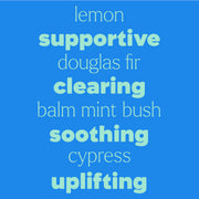 Plant Therapy Quiet Cough® Essential Oil Blend Pre-Diluted Roll-On Essential Oil Dodger Blue 10 mL