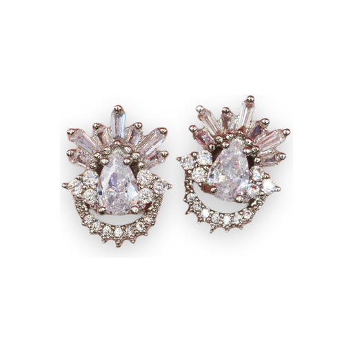 Red Iguana LLC Rhino Silver Charm #187 Charm