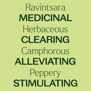 Plant Therapy Ravintsara Essential Oil Essential Oil