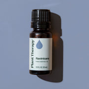 Plant Therapy Ravintsara Essential Oil Essential Oil